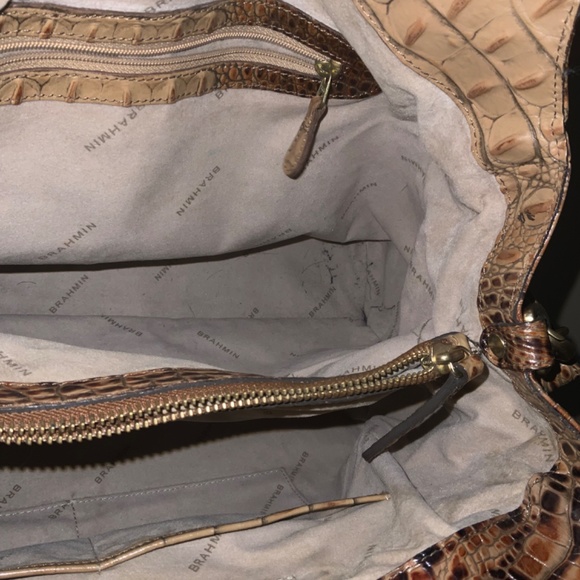 Brahmin - Picture 6 of 9